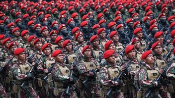 HUT ke-80, Komisi I DPR Harap Prajurit Pegang Prinsip ‘TNI Rakyat’