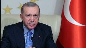 Turki akan Menggunakan Segala Cara untuk Mencegah Terulangnya Genosida di Gaza