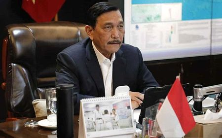 Luhut: Total Masyarakat yang Skrining Lewat PeduliLindungi Capai 13,6 Juta