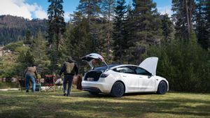 Dua Mobil “Murah” Terbaru Tesla Tak Semurah yang Dibayangkan, Pasar Bereaksi Negatif
