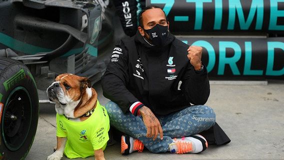 Hamilton Espère Entamer Des Négociations Contractuelles Avec Mercedes La Semaine Prochaine