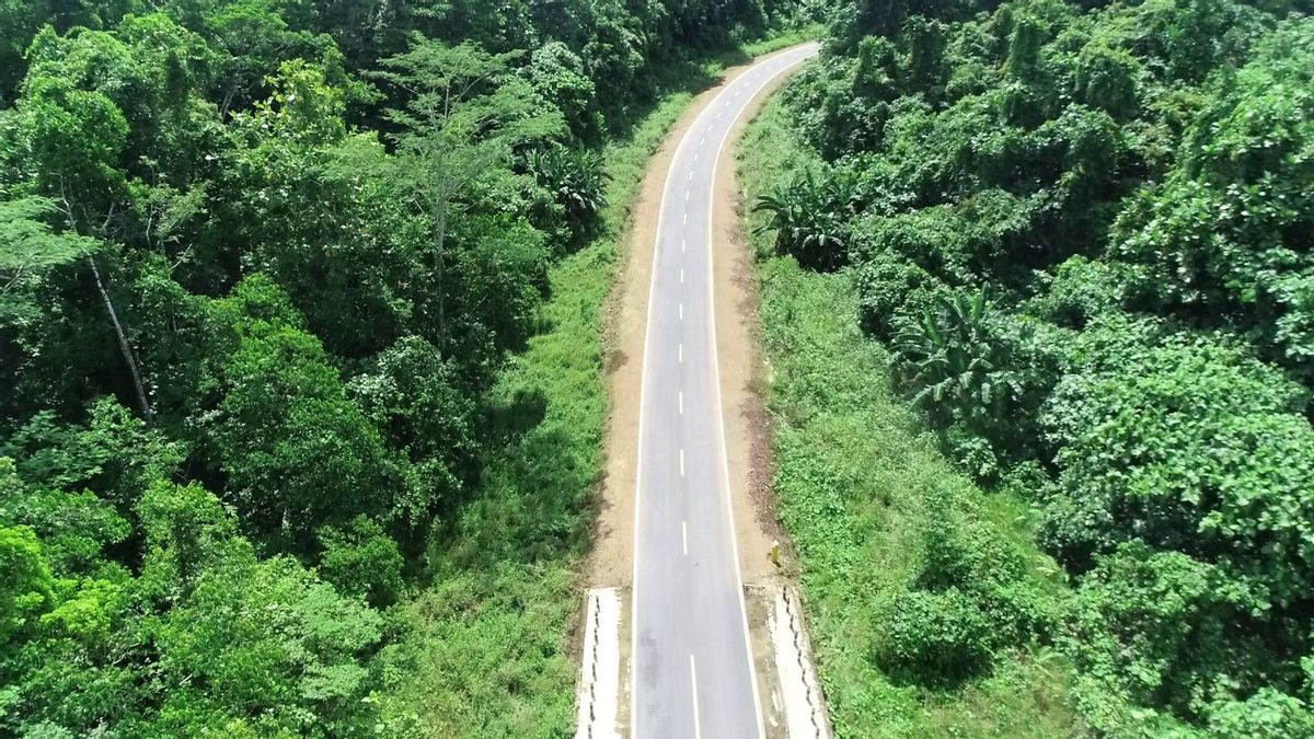 Pangkas Waktu Tempuh, Waskita Karya Rampungkan Jalan Nabire–Manokwari Senilai Rp138,2 Miliar