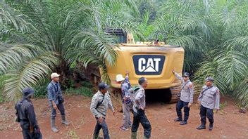 寻找重型设备让Mukomuko水保护森林警察大开眼界，已成为多产的棕榈种植园