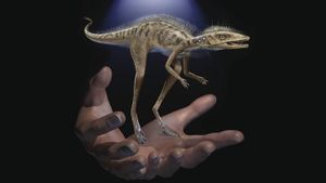 Dinosaurus Mungil Seukuran Ponsel Ditemukan di Madagaskar