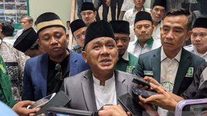 Ahmad Syauqi Putra 副总统Ma'ruf Amin Maju Pilgub Banten