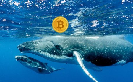 Diam-Diam Whale Ini Punya Bitcoin Lebih Banyak dari MicroStrategy