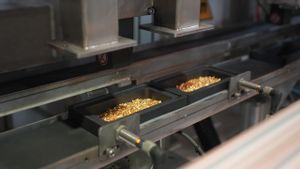 Amman Mineral Internasional Raup Laba Bersih Rp4,36 Triliun Sepanjang Tahun 2025