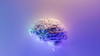 シンクロンは急速な進歩を遂げ、人間のためにテストされた脳とコンピュータ間の技術