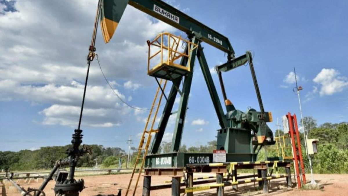 Target Eksplorasi 46 Sumur di 2025, SKK Migas Catat Baru Bor 18 Sumur