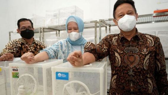 Datangi Laboratoriumnya di Yogyakarta, Menkes Tertarik Inovasi Wolbachia untuk Penanganan Kasus DBD di Indonesia 