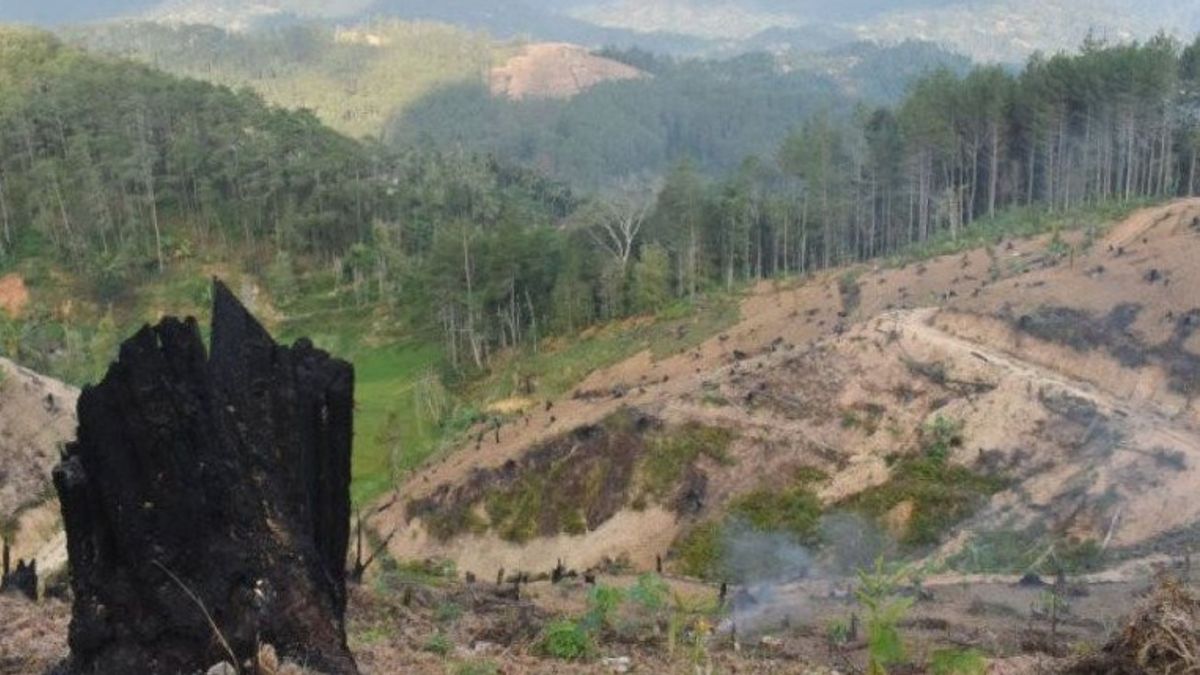 La Commission IV De La Chambre Des Représentants Souligne L’empiètement Des Forêts Excessives Causant L’inondation Du Kalsel