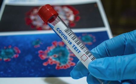 China Temukan Virus Corona Kelelawar Mirip Virus COVID-19