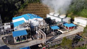 Pendapatan Baru dari Carbon Credit Pertamina Geothermal Energy Berpotensi Tumbuh Signifikan