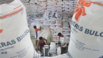 从PNM获得20亿印尼盾的资金注入，Bulog建造了13家现代谷物加工厂