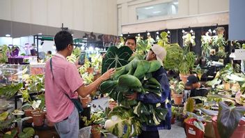 Terkumpul Rp137 Juta, Lelang Tanaman Hias dari Aroid hingga Aglaonema Warnai Kemeriahan FLOII Expo 2024