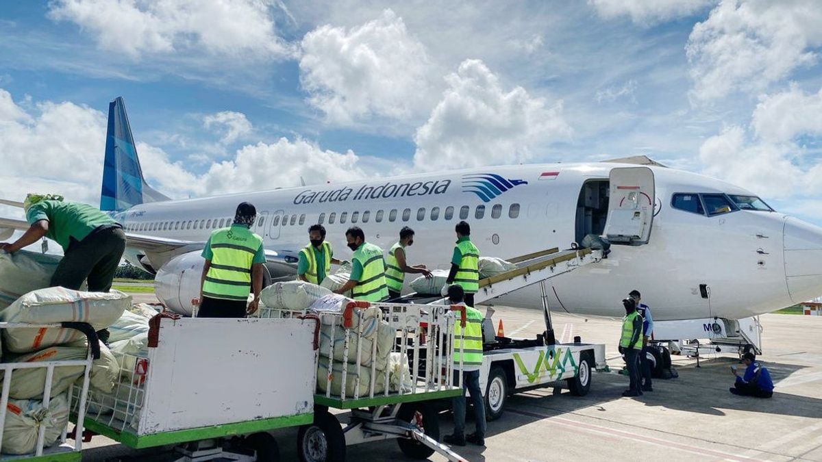 Pengamat Penerbangan Alvin Lie: Hadapi Turbulensi Global,  Garuda Indonesia cs Harus Aktifkan <i>Survival Mode</i> untuk Bertahan Hidup
