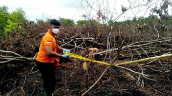 Potential 4-meter Sea Waves And Forest And Land Fires, NTT Residents Are Asked To Be Vigilant