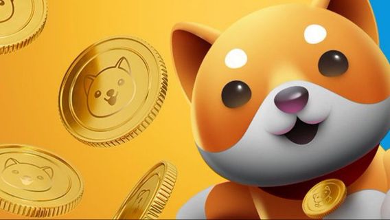 Number Of Owners Of Baby Dogecoin Through New ATH, Bye-bye Shiba Inu (SHIB)!