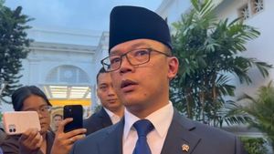 Menlu: Indonesia Masuk BoP di Tengah Situasi Rapuh, Palestina Tetap Utama