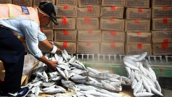 Le Ministre Trenggono Libère L'exportation De Produits De La Pêche Vers 40 Pays D'une Valeur De 1 000 Milliards D'IDR