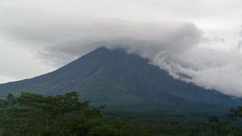 雪崩の熱い雲を伴って、スメル山は再び噴火します