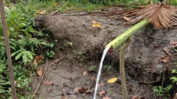 Heboh, Mata Air Muncul di Dekat Pengungsian Warga Setelah Gempa Majene 