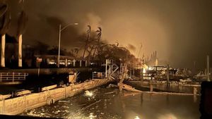 KJRI LA Pantau Kondisi WNI Usai Tragedi Kebakaran Hutan di Hawaii