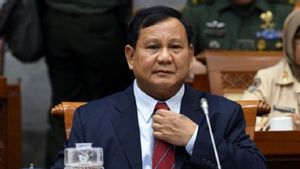 DPR Bakal Minta Prabowo Beberkan Rinci Anggaran Pembelian 42 Pesawat Tempur