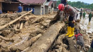 Data Terkini 8 Desember: 929 Tewas, 274 Hilang di Bencana Aceh Sumatera