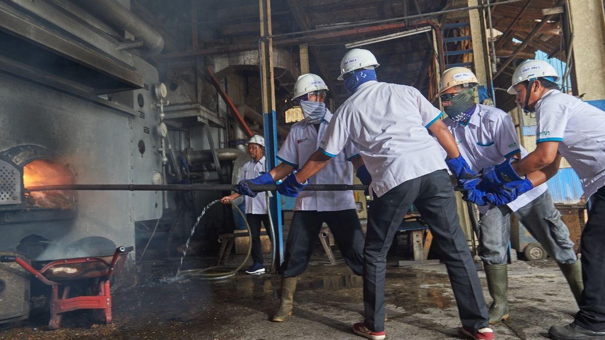 Komitmen Penuhi Hak Karyawan yang Tertunda, PT Perkebunan Mitra Ogan Lakukan Sejumlah Langkah Ini