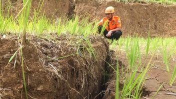 Muncul Retakan Tanah Rawan Longsor yang Bahayakan Warga Desa Sucopangepok Jember