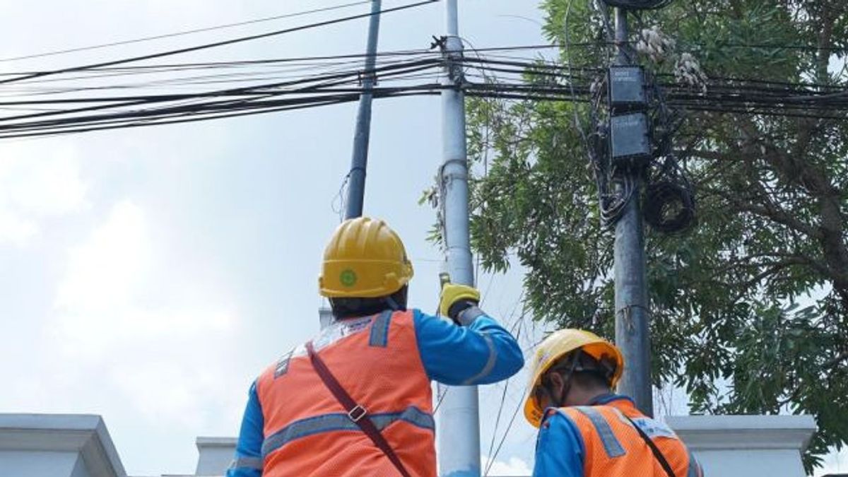 PLNは電柱へのキャンペーン小道具の設置を禁止