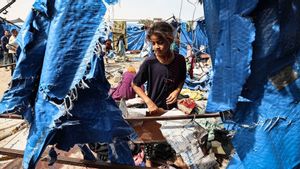 Terus Bertambah, Data PBB Catat 875 Orang Gaza Tewas Saat Antre Bantuan