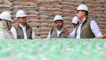 3,74 millions de tonnes de riz en stock, Bulog assure la sécurité de l'approvisionnement alimentaire jusqu'à la fin de l'an