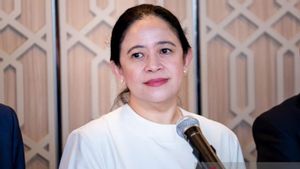 Puan Sebut Keputusan MK Soal Pemisahan Pemilu Tidak Sesuai UUD