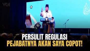 Indonesia Dikenal Bikin Regulasi Rumit, Prabowo: Pejabatnya Akan Saya Copot