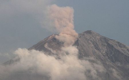 Tim SAR Sisir Tiga Dusun di Lumajang Tertimbun Abu Vulkanik Pasca Erupsi Semeru