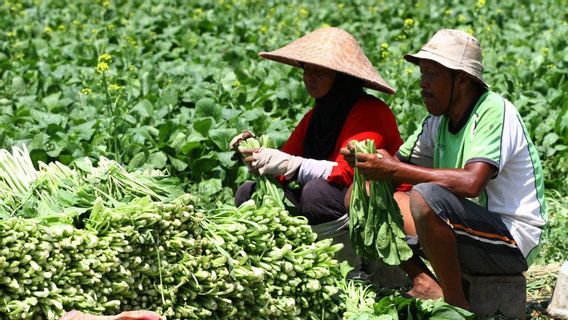 食料危機の脅威が見え、農業部門への投資見通しはさらに有望です