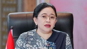 Hari Sumpah Pemuda, Puan: Kini Tantangan Bukan Lawan Penjajahan Fisik, Tapi Menjaga Akal Sehat