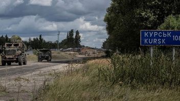 IAEA Arrives in Russia to Check Kursk Nuclear Power Plant Attacked by Ukraine