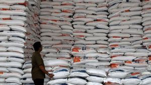 Bulog Menuju Badan Pemerintah, Bapanas akan Dilebur Sebagian ke Kementan