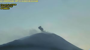 Gunung IlI Lewotolok NTT Lontarkan Abu Vulkanik ke Arah Barat Laut