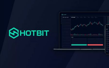 Hotbit Diduga Terlibat dalam Aktivitas Rugpull Menurut Klaim RichQuack