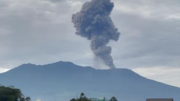 Gunung Marapi di Sumatera Barat Alami Erupsi, Status Waspada