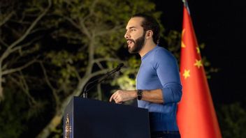 Bitcoin Will Remain A Legal Payment Tool During Nayib Bukele's Term Of Office