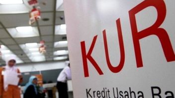 Penyaluran KUR di Bali dari Januari hingga Maret 2021 Capai Rp1,6 Triliun 