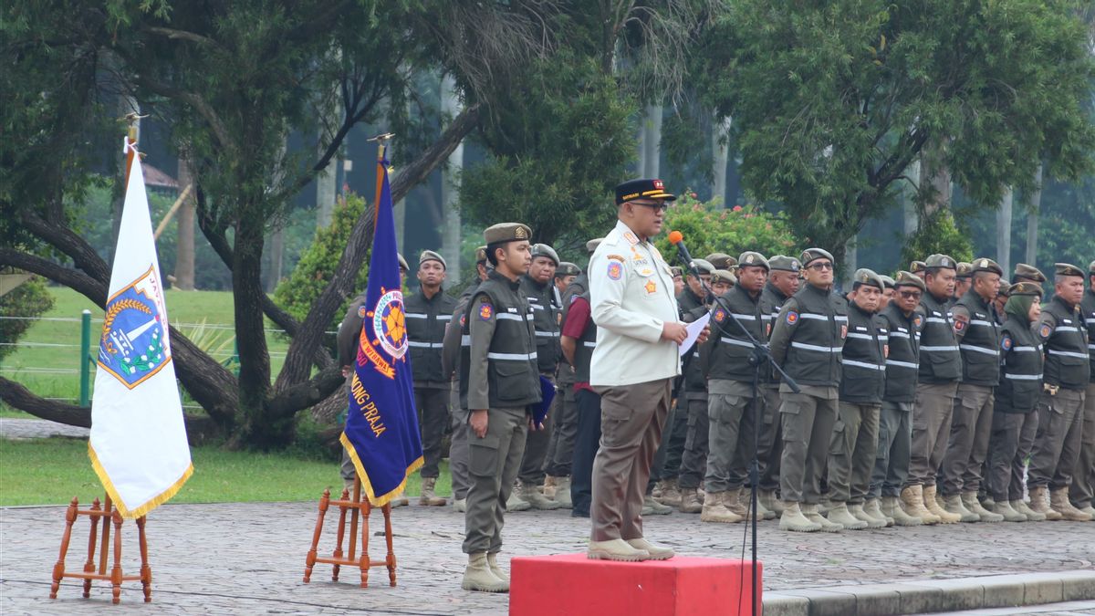 Tertibkan Atribut Parpol di Flyover, Satpol PP DKI: Langgar Perda dan Bahayakan Pengendara 