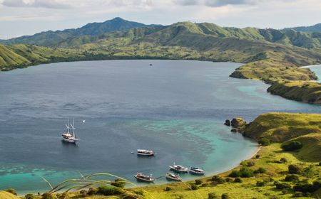 Abaikan Surat Menteri LHK, Tarif Rp3,75 Juta Masuk Pulau Komodo Tetap Berlaku Awal Tahun Depan