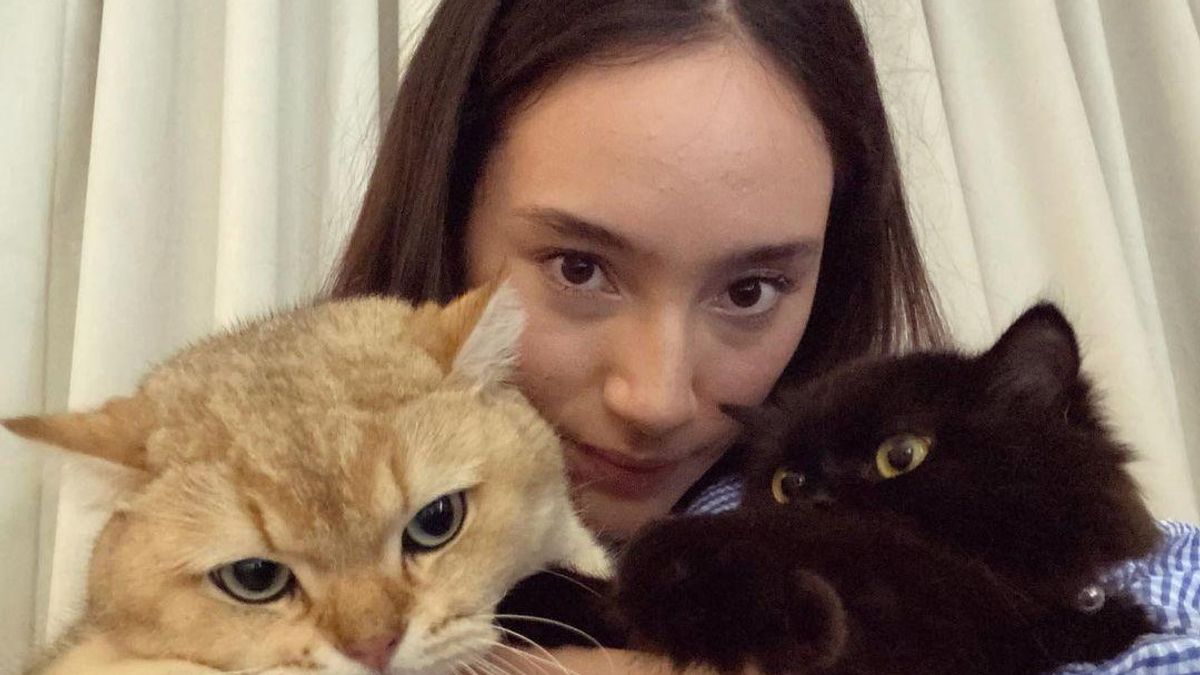 可爱，4张Tatjana Saphira与她心爱的猫的照片 