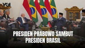 Presiden Brasil Lula Bertemu Presiden Prabowo, Babak Baru Kemitraan Indonesia-Brasil